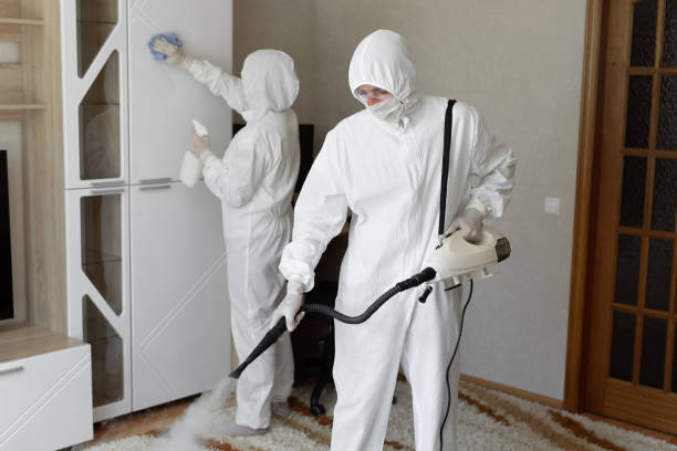 24/7 Emergency Biohazard Cleanup experts in Roanoke, IL